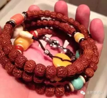 这么全的金刚菩提知识，到底该不该收藏呢！ - 中华文玩网 - 中华文玩网的博客