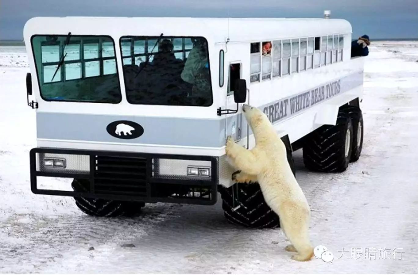 巨轮冰原车