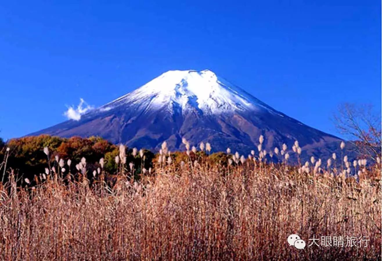 箱根伊豆国立公园