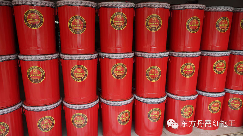 央视寻访东方丹霞 <wbr>揭秘高端武夷岩茶