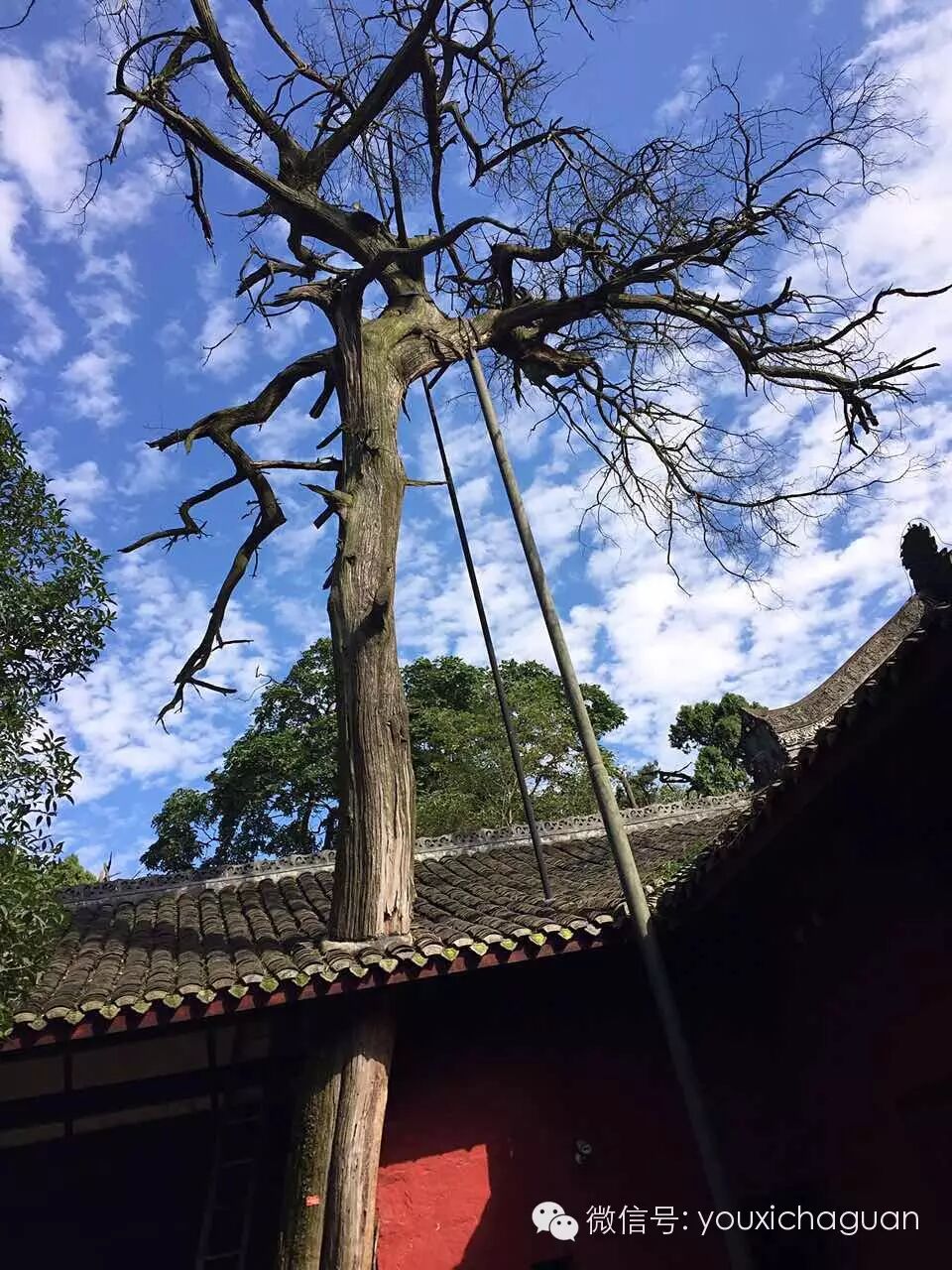 朋友圈摄影大赛？不不不，我们是游戏圈【展示篇4】