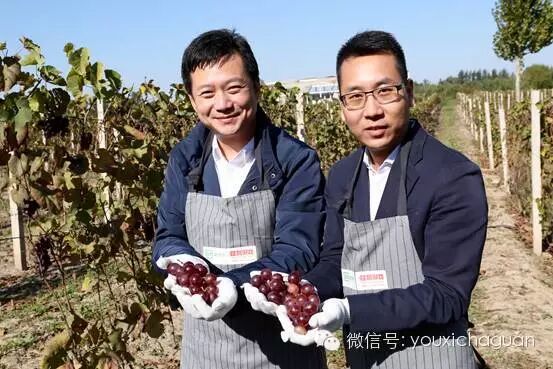 胜利游戏与爱奇艺达成深度战略合作 共推影游产品深度发行