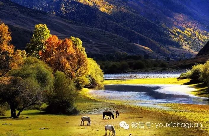 朋友圈摄影大赛？不不不，我们是游戏圈【展示篇2】