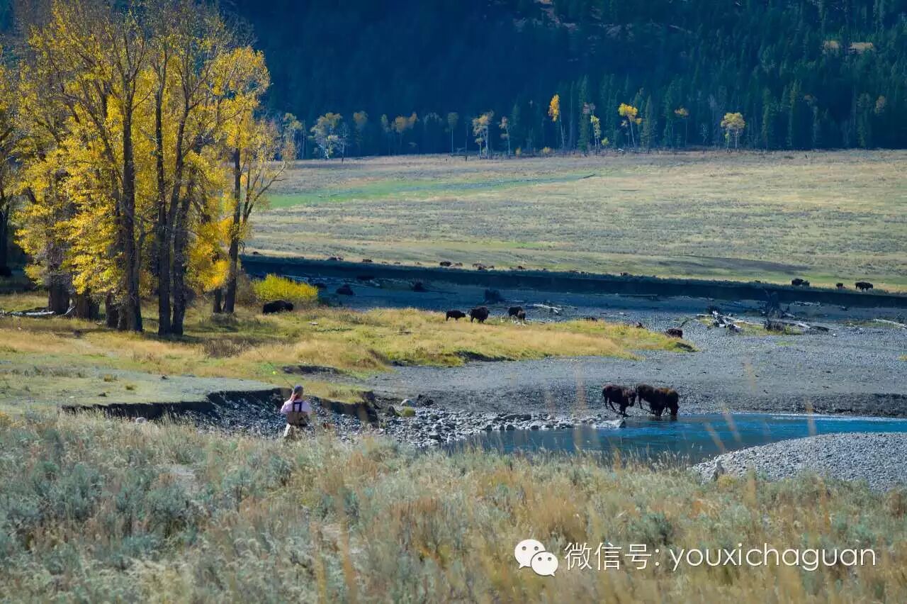 游戏圈国庆摄影大赛【获奖展示篇】