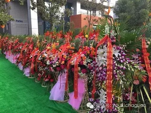 新起点、新开端 钱宝游戏新址落地