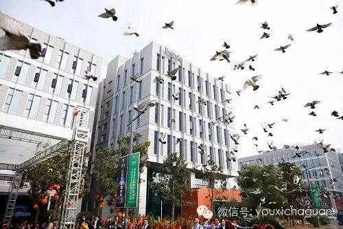 新起点、新开端 钱宝游戏新址落地