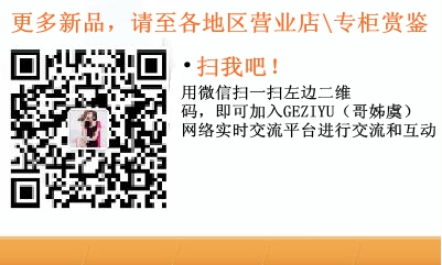 GEZIYU（哥姊虞）2014秋冬新品会(图10)