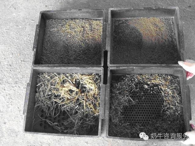 TMR质量评估体系研究