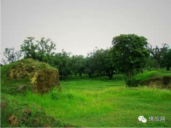 【印度朝圣佛教圣地】佛陀的故乡迦毗罗卫国 <wbr>Kapilavastu