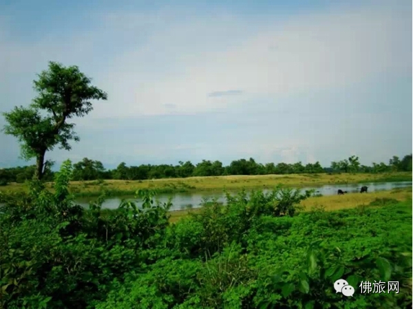 【印度朝圣佛教圣地】佛陀的故乡迦毗罗卫国 <wbr>Kapilavastu