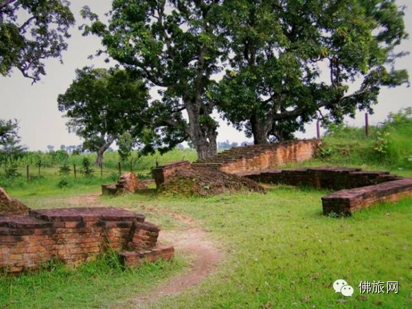 【印度朝圣佛教圣地】佛陀的故乡迦毗罗卫国 <wbr>Kapilavastu