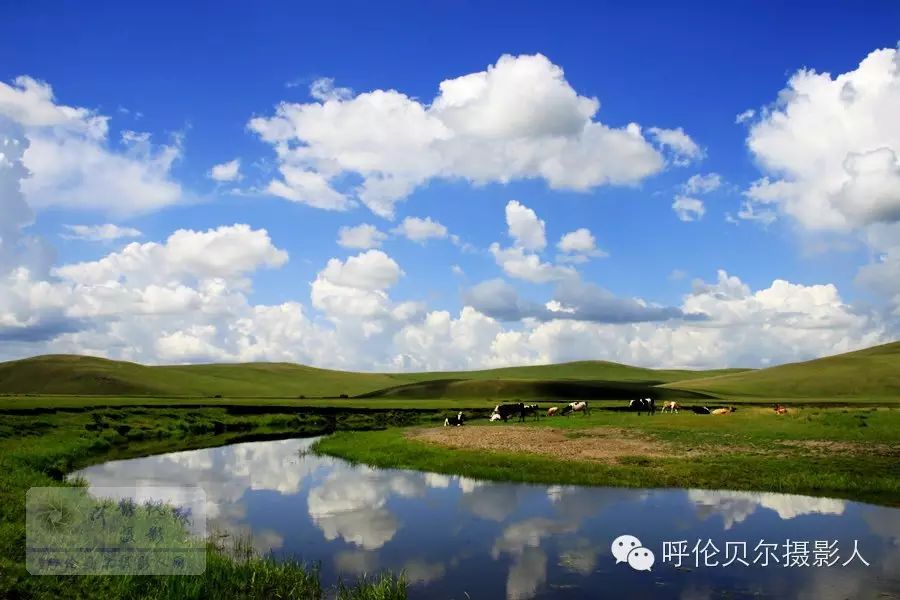 大美呼伦贝尔草原风光休闲摄影8日游(7月19日报到) - 宁静枫林 - 呼伦贝尔长城摄影旅游俱乐部 大美呼伦贝尔草原风光休闲摄影8日游(7月19日报到) - 宁静枫林 - 呼伦贝尔长城摄影旅游俱乐部