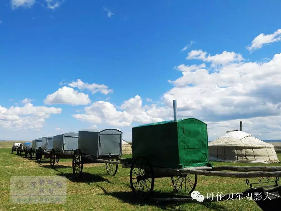 大美呼伦贝尔草原风光休闲摄影8日游(7月19日报到) - 宁静枫林 - 呼伦贝尔长城摄影旅游俱乐部 大美呼伦贝尔草原风光休闲摄影8日游(7月19日报到) - 宁静枫林 - 呼伦贝尔长城摄影旅游俱乐部