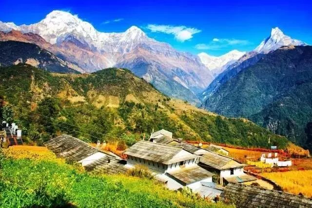 ArcteryxGammaLTHoody始祖鸟男款保暖防风软壳夹克