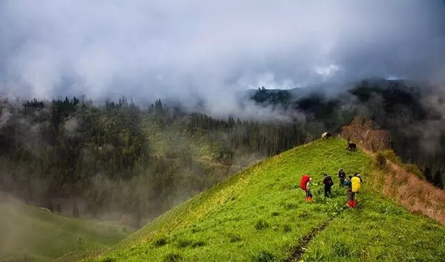 ArcteryxGammaLTHoody始祖鸟男款保暖防风软壳夹克