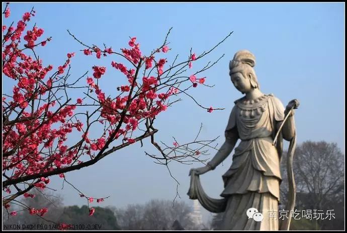 登录查看大图