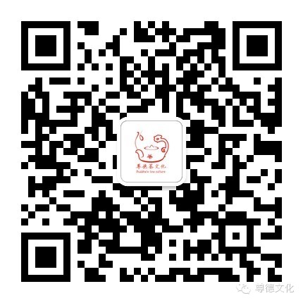 天目杯为何物？