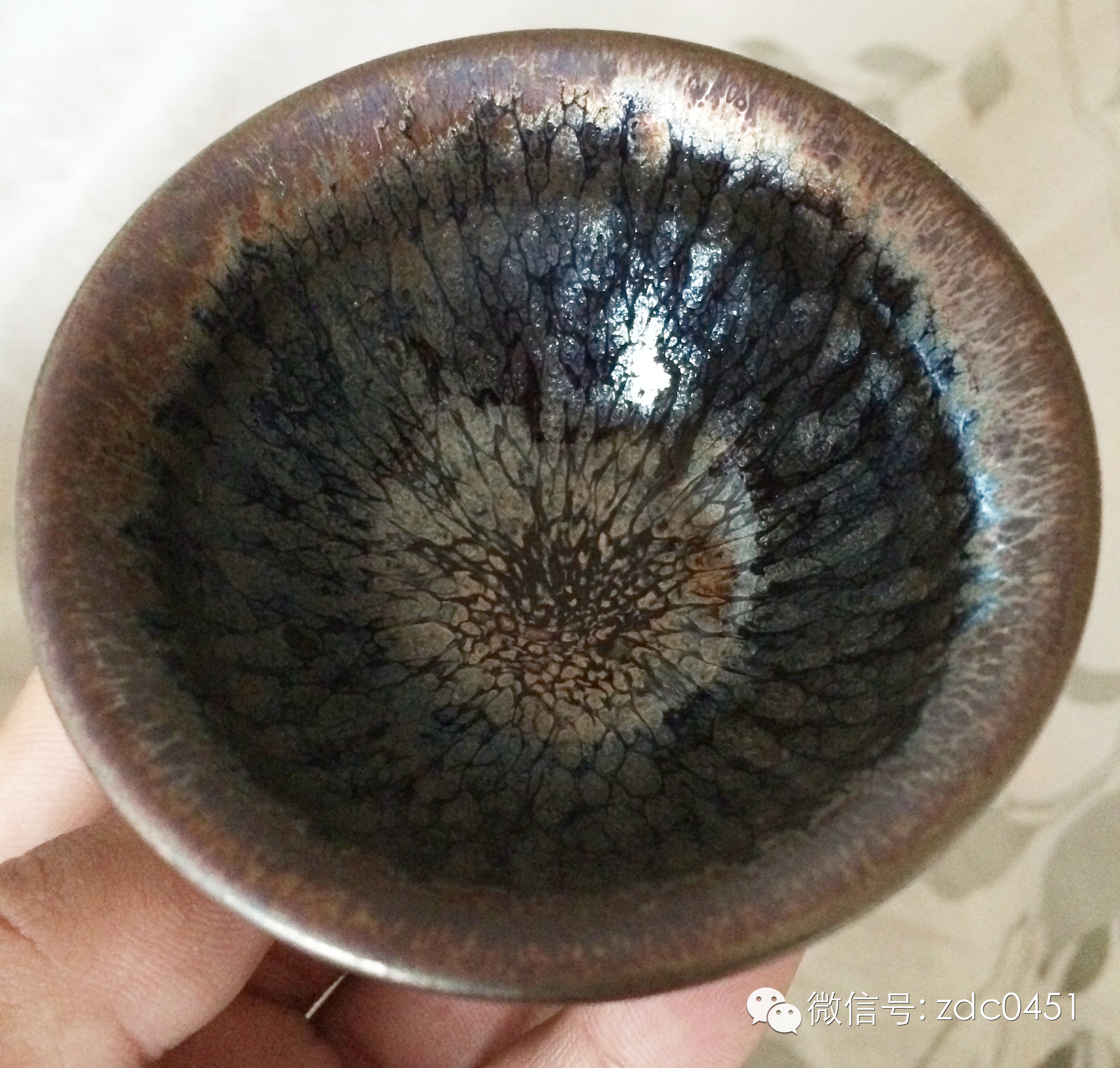 天目杯为何物？