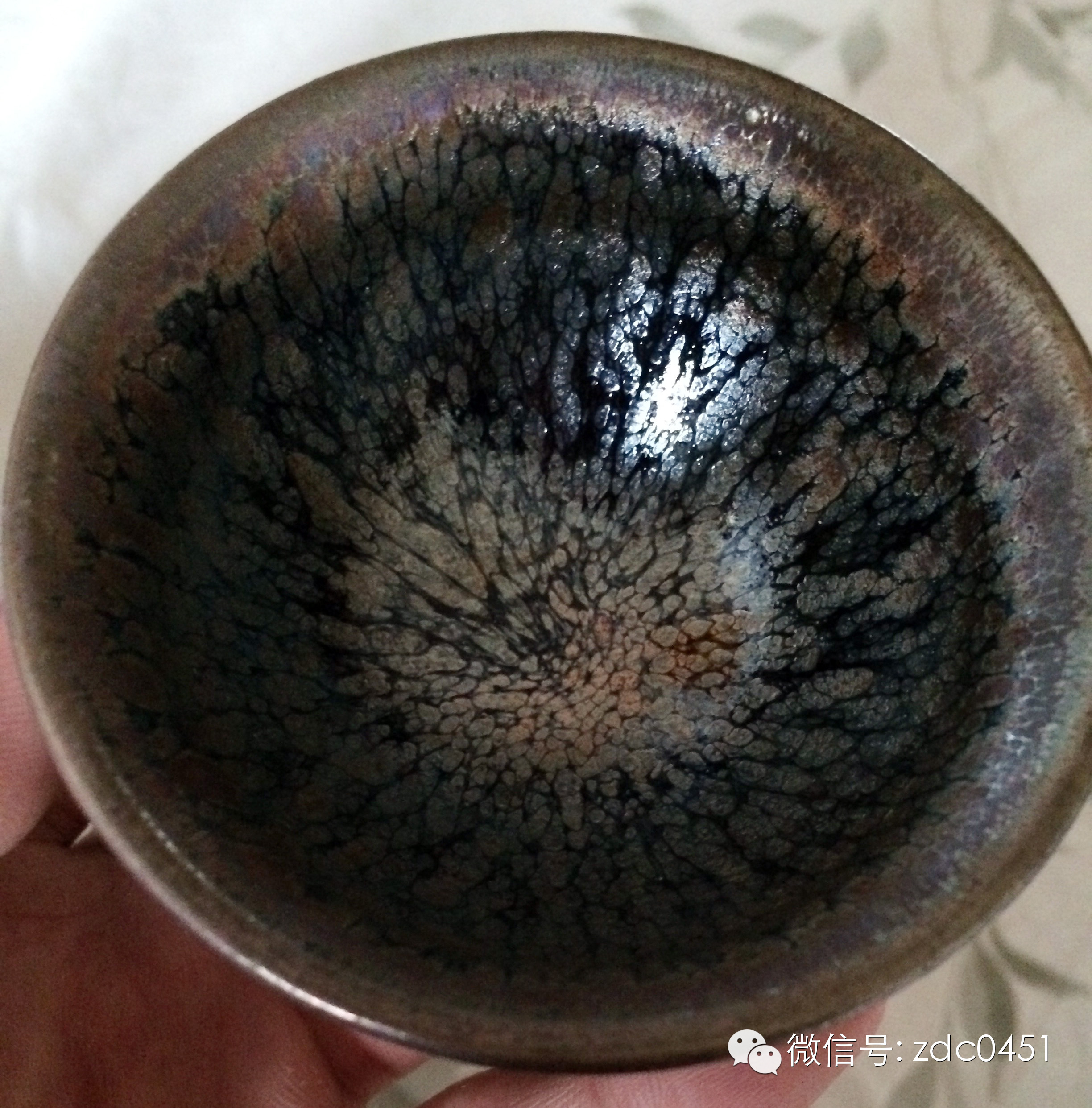 天目杯为何物？