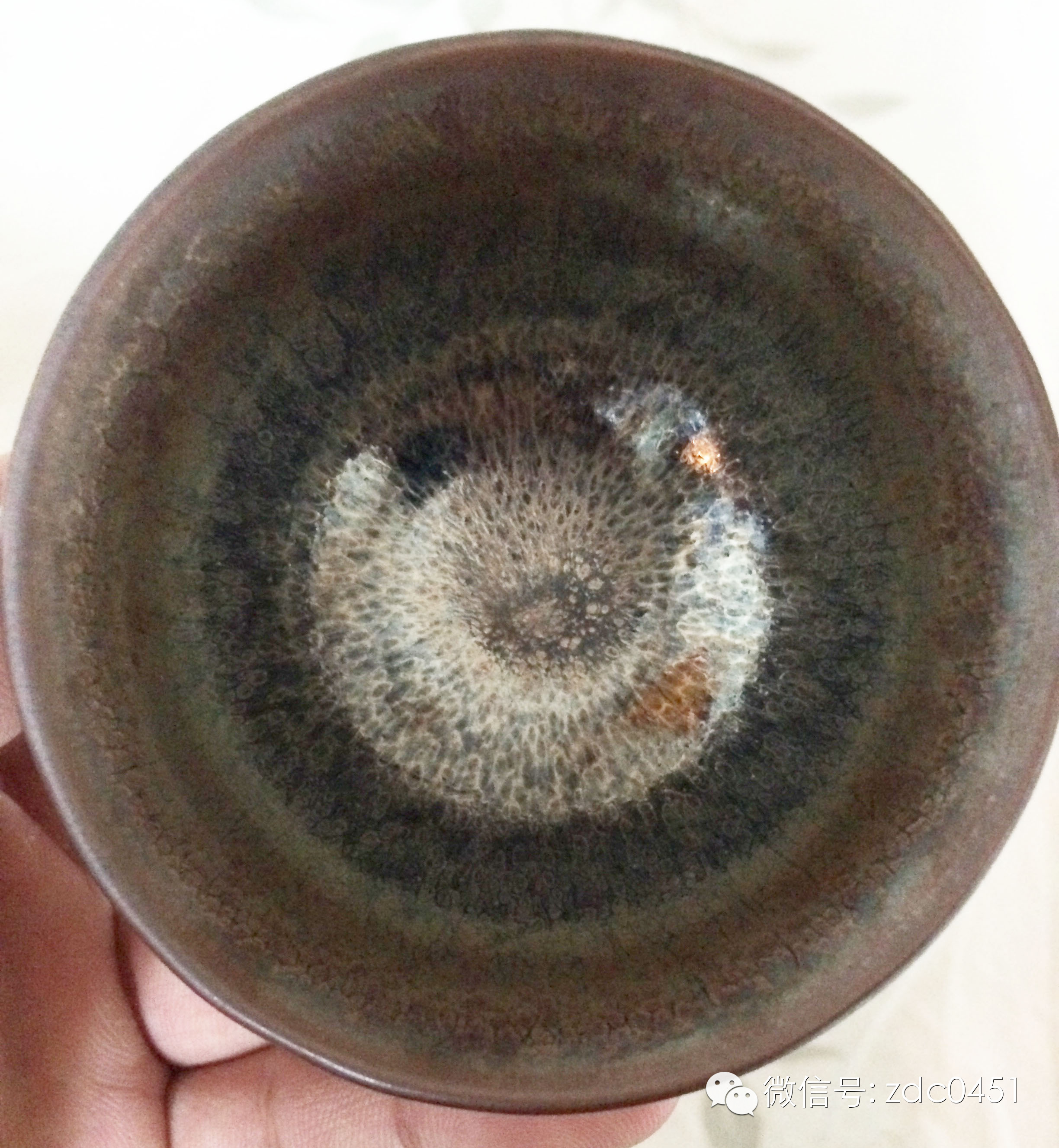 天目杯为何物？