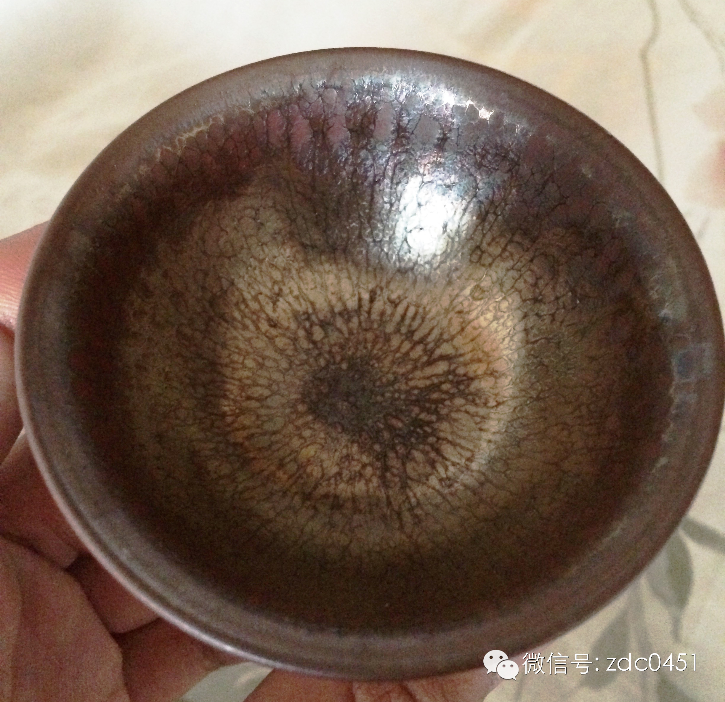 天目杯为何物？