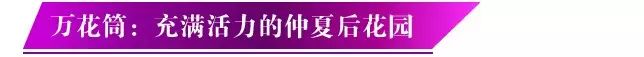 2017夏季内衣泳装潮流趋势抢先看