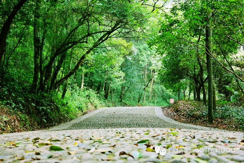 【北江文化故事之十】廖冲与第四十九福地