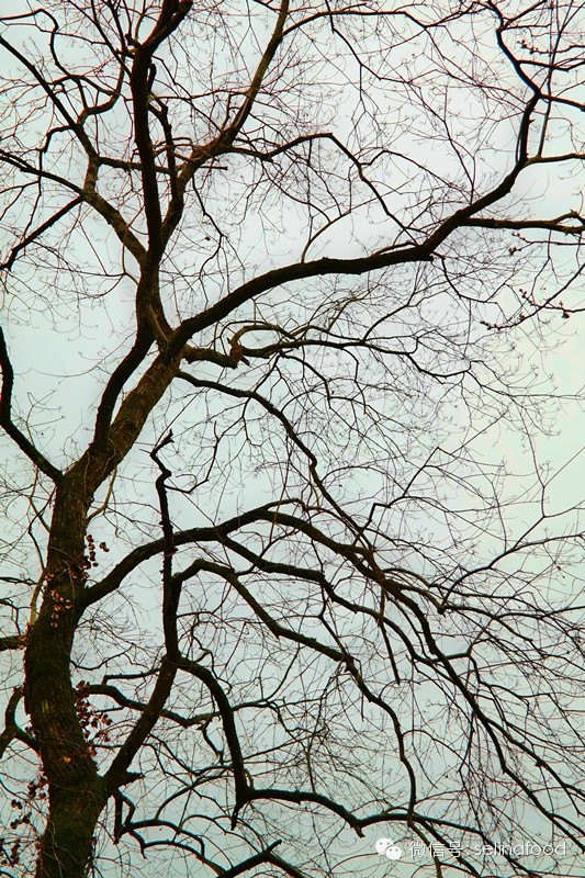 【北江文化故事之十】廖冲与第四十九福地