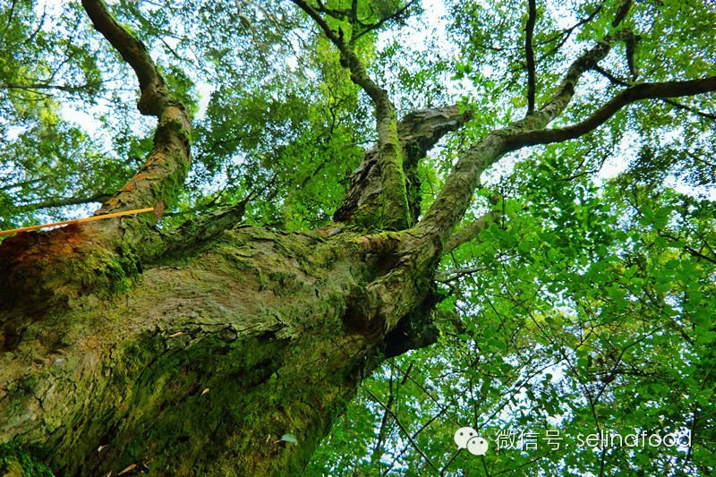 【北江文化故事之十】廖冲与第四十九福地