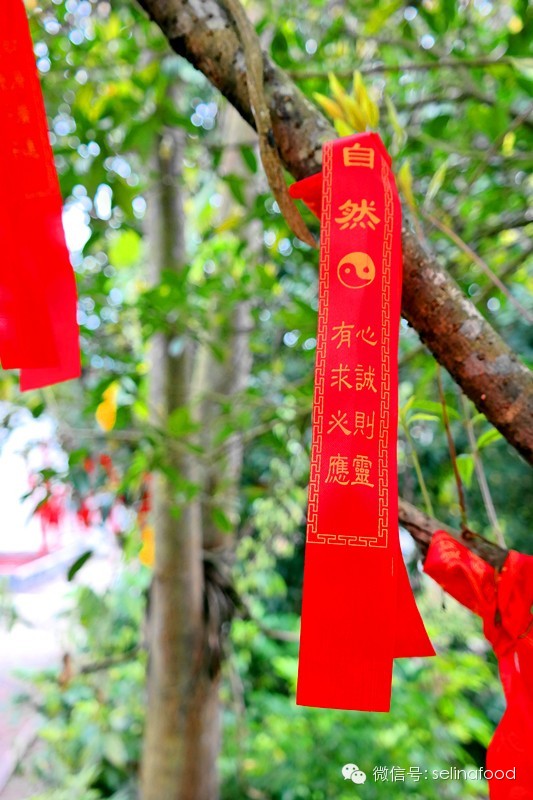 【北江文化故事之十】廖冲与第四十九福地