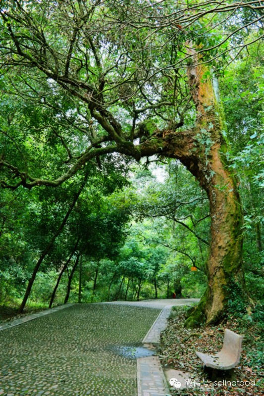 【北江文化故事之十】廖冲与第四十九福地