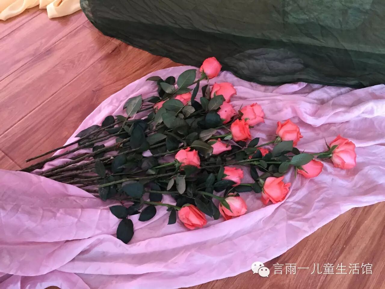 言雨一华德福幼儿园开学仪式--玫瑰典礼