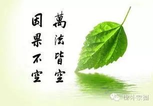 善护口业:看见车祸,口出恶言,报应来的又快又猛! - 广行法师 - 广行佛教 善护口业:看见车祸,口出恶言,报应来的又快又猛! - 广行法师 - 广行佛教