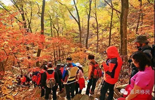 秋“枫”季节：加拿大太远，何不去韩国赏枫？