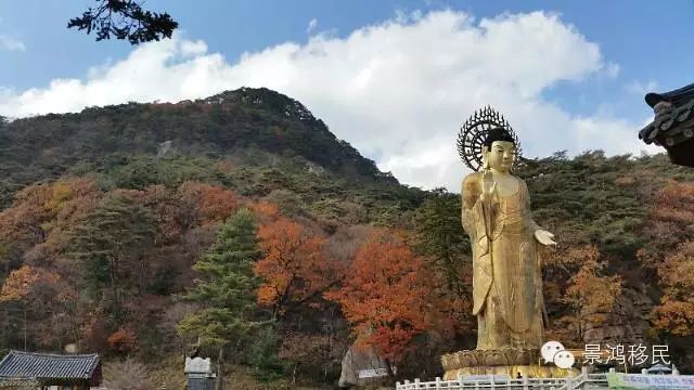 秋“枫”季节：加拿大太远，何不去韩国赏枫？