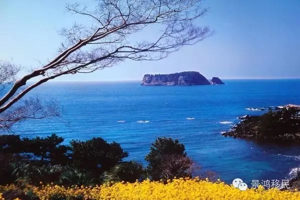 终极独家 | 揭秘韩国基金、房产投资移民
