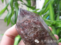 士多啤梨水晶(草莓晶) 士多啤梨水晶(草莓晶)