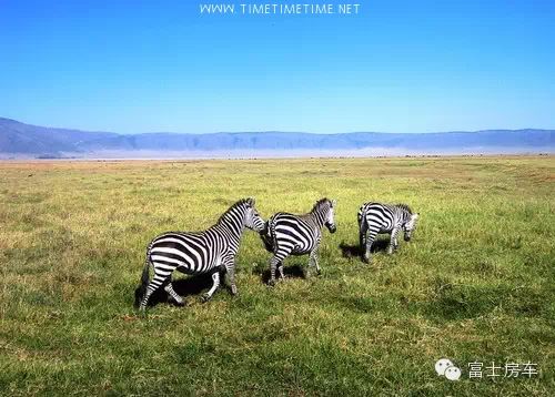 如何带爸妈来一趟说走就走的旅行