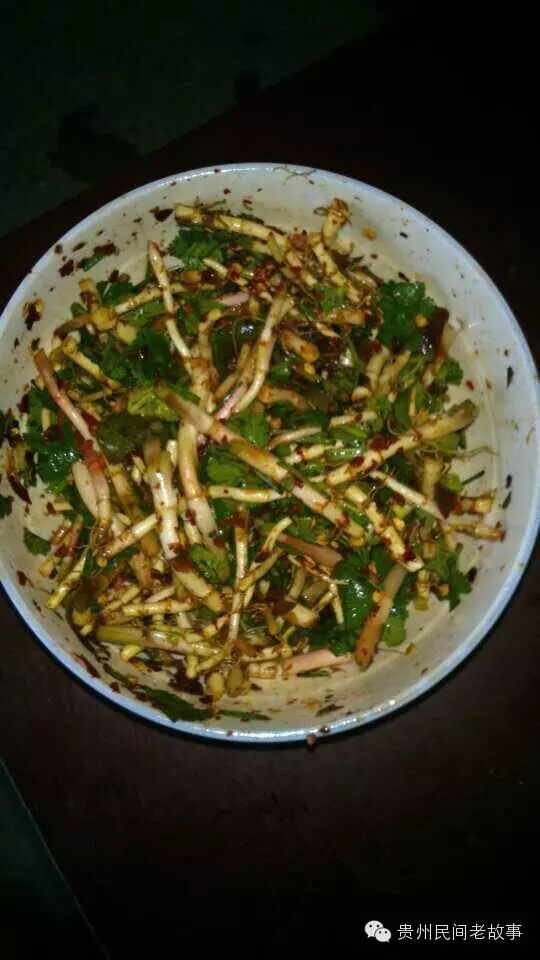 走，到山上挖野生折耳根去