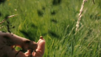 只有内心足够强大，才可以所向披靡无所畏惧