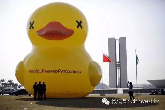 近日，巴西民众不断走上街头抗议巴西总统罗塞夫。巴西民众除了身穿黄绿色巴西球衣、手举抗议标语以外，巴西富人阶级以及中产阶级还将经过改造的大黄鸭“请”进了抗议队伍。