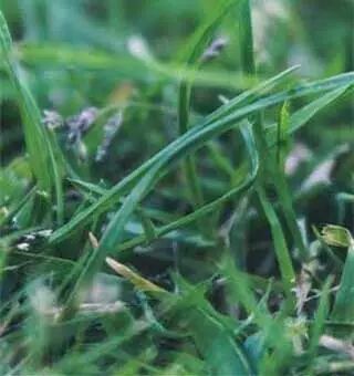 微信公众平台编辑器亚健康介绍不规则形状图文文章模板素材