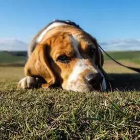 微信公众平台编辑器图文居中大标题正文文章模板素材图片