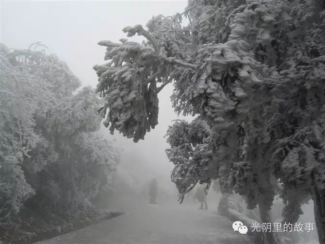 上山路上