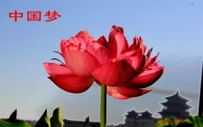 短歌行 活在当下 爱在每一天 做人生的赢家