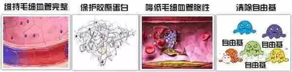 眼睛的健康和保养 眼睛的健康和保养