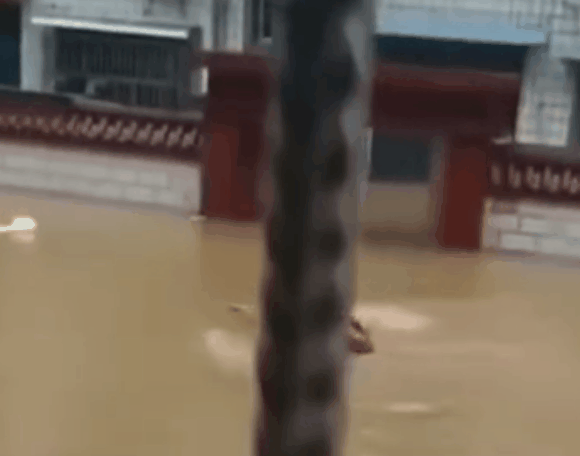 游泳|退役军人游泳背女孩赶考，这些身影让人感动！