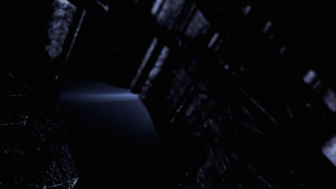 微信图片_20191115110143.gif