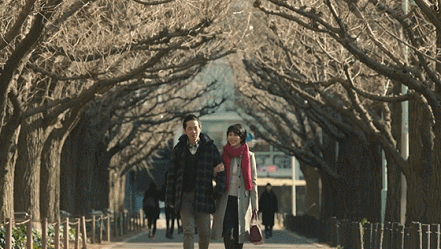 441_249gif 动态图 动图