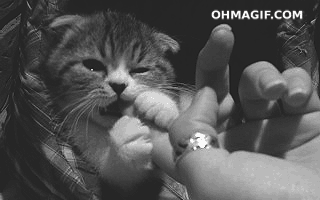 http://7xo6kd.com1.z0.glb.clouddn.com/upload-ueditor-image-20160814-1471167038451064923.gif